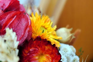 死亡笔记中的弥海砂，角色分析与道德困境