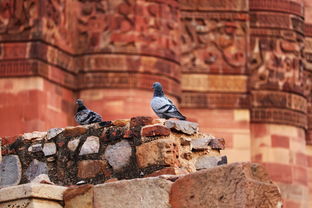 战国无双2猛将传，历史与游戏的完美融合