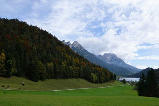 湖南岳阳旅游全攻略：避开人潮，轻松玩转岳阳楼、君山岛与洞庭湖