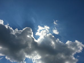 博白疫情，最新动态与防护指南