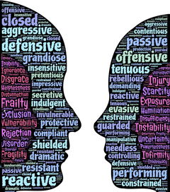 我的女神H，揭秘生活中的隐形守护者