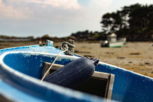 登封疫情最新动态，今日情况分析与防控措施解读