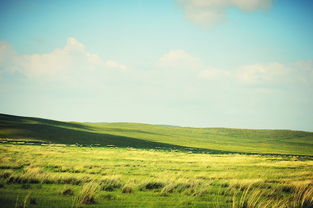 探索锡林123，深入了解锡林郭勒草原的自然奇观与文化瑰宝