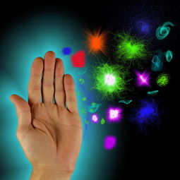 丹东疫情源头，揭开病毒传播的神秘面纱