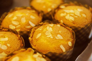 舌尖上的笑料，美食文案中的幽默艺术