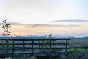探索河南长安网，连接过去与未来的桥梁