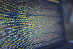 网页游戏新服，探索虚拟世界的无限可能