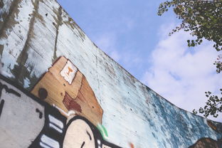 掌握模拟报志愿的艺术，如何为未来铺路