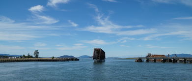 2021年疫情最新动态，深入解析与生活指南