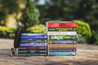 麻将入门指南，从零开始，享受智慧与乐趣的碰撞