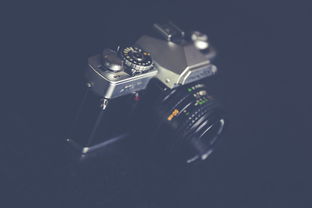 火炬之光合体版40，经典与创新的完美融合