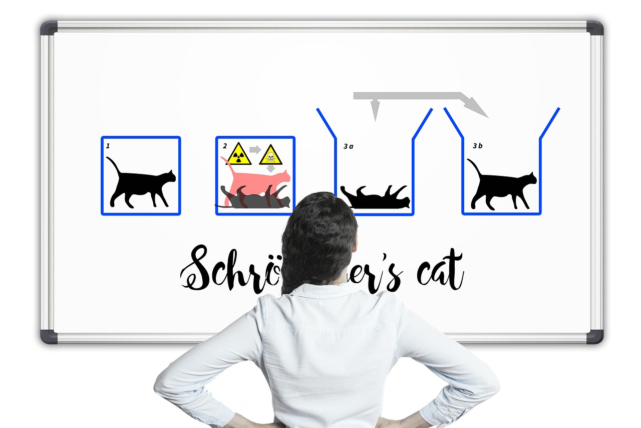 薛定谔的猫，量子世界的奇妙悖论