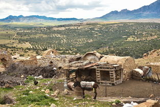 繁峙美食探秘，山西边陲的味蕾之旅
