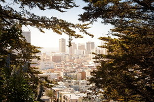 武汉景点小报，探索江城之美