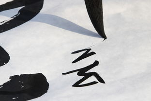 美食推文的艺术，如何用文字唤醒味蕾