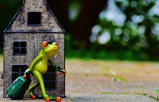 味蕾上的冒险，幽默风趣的旅游美食短句集锦