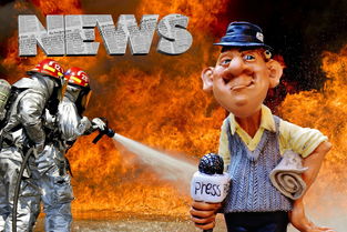 解读新闻头条，最新动态与深度分析