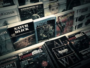 新闻速递探索新闻极速新闻头条app，您的个性化新闻助手