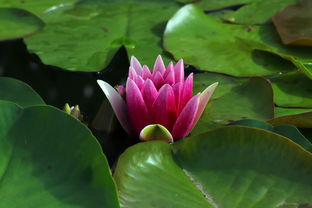 今日速递，全球动态，一网打尽