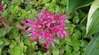 今日新闻摘抄十条及感悟，洞察世界动态，启迪生活智慧