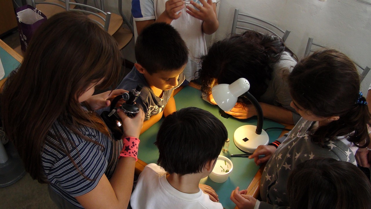 幼儿园里的科学小秘密，日常生活中的科普知识