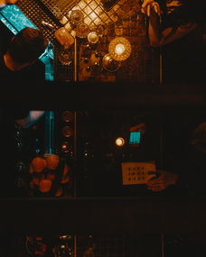 植物大战僵尸疯狂版，深入探索与游戏攻略