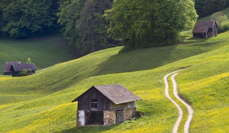 揭秘金坷垃，农业的神奇助力