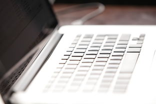 乐讯手机论坛，手机爱好者的聚集地