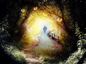 命运神界梦境链接，探索潜意识的神秘之旅