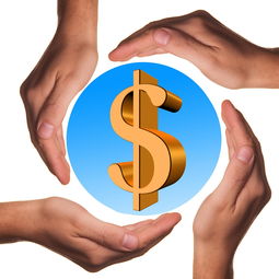 今日中国，新闻速递与深度解析