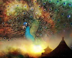 天下x天下，探索中国传统文化与现代生活的融合之道