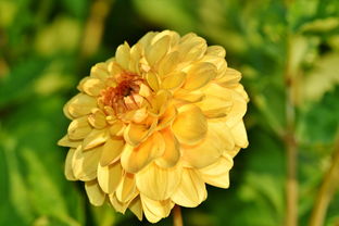 今日新闻头条，洞察世界动态，把握生活脉搏