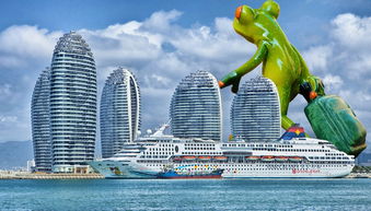 海南的骄傲，陈国猛与自贸港的崛起