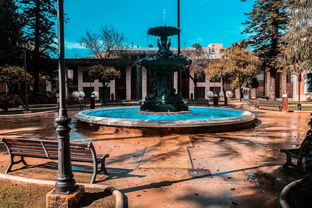 呼和浩特今日动态，城市发展与民生焦点