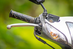 娱乐新闻安卓版，随时随地掌握娱乐圈最新动态