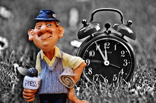 新闻头条背后的神秘人物，揭秘新闻头条的创始人