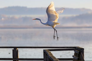 7月2日，本周新闻热点速览，10条不容错过的全球动态