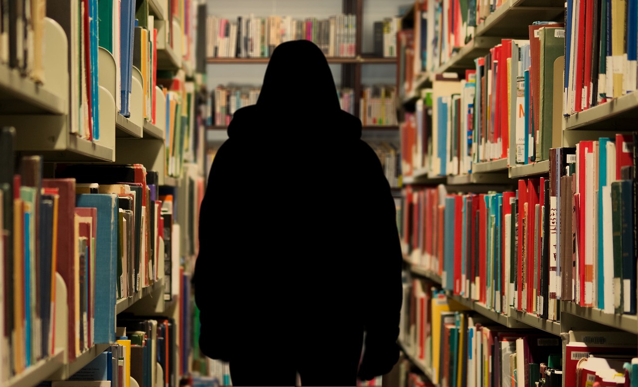文学之旅，掌握单招文学常识必考点，开启你的智慧之门
