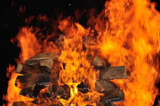 圣斗士OL，虚拟世界中的星座传说