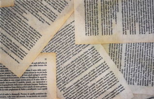 完本小说网，阅读爱好者的宝藏之地