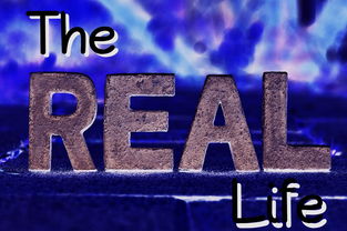 生活系游戏，虚拟世界中的现实体验