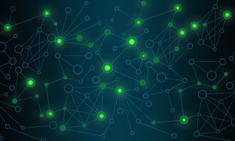 网络终结者，数字世界的守护神