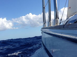 如何轻松将腾讯新闻下载安装到桌面，简单步骤与实用技巧