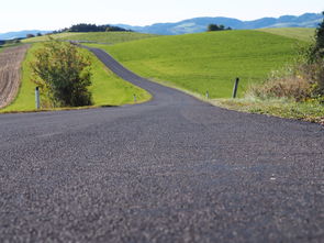 绿色版迅雷，环保与速度的完美融合