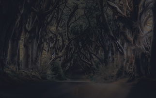 反恐精英起源，经典射击游戏的历史与影响