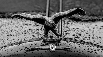 愤怒的子弹，情绪管理与冲突解决的艺术