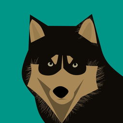 探索天使动漫网，动漫爱好者的天堂