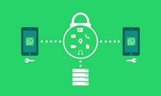 深入解析磁力链接前缀，原理、应用与安全指南