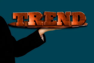 我叫MT5，自媒体时代的变革者