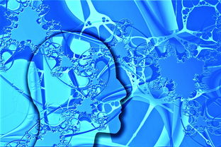 探索龙之崛起，开放游戏的魅力与策略